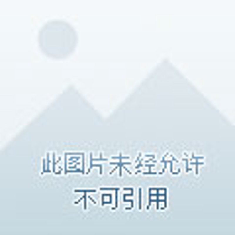 电商代运营：新时代下的商业引擎